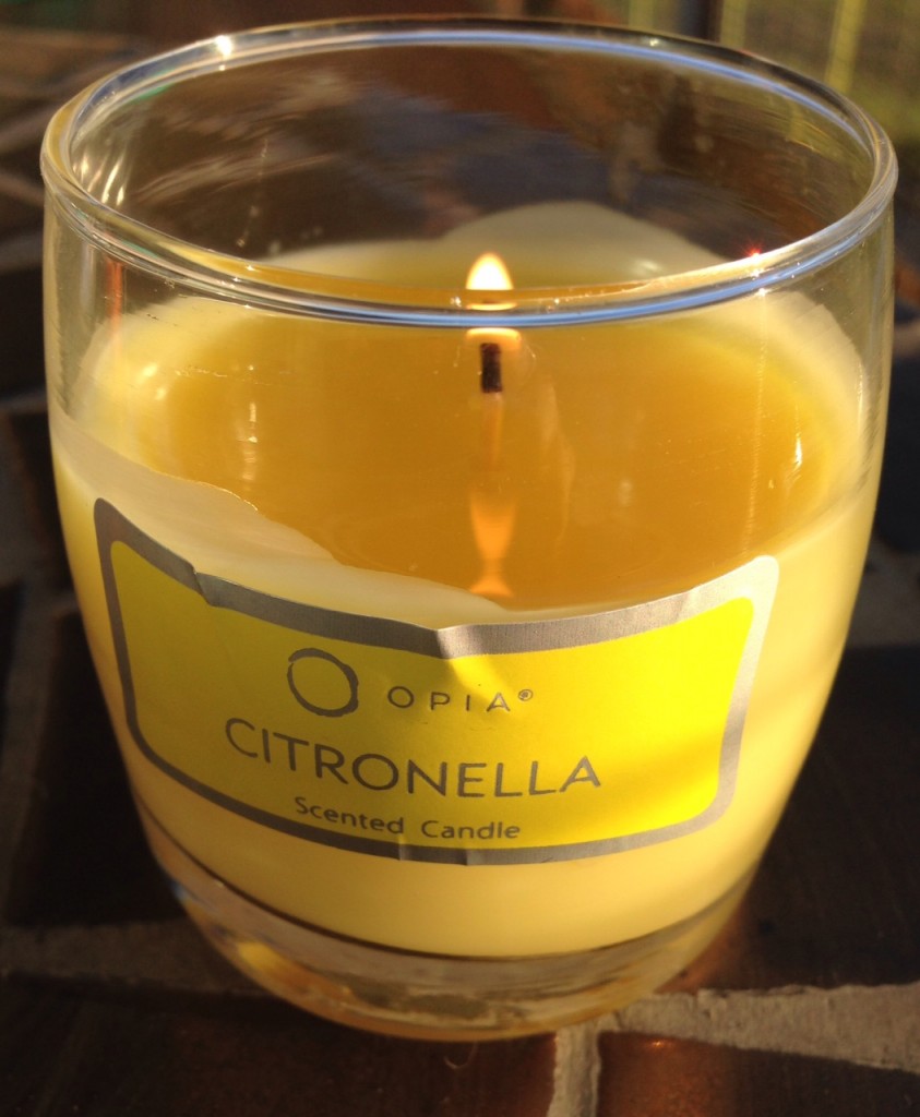 Pennys Citronella Candle 